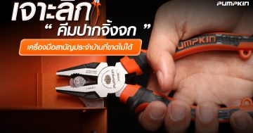 บทความ---เจาะลึก-คีมปากจิ้งจก-เครื่องมือสามัญประจำบ้านที่ขาดไม่ได้-1200x800px