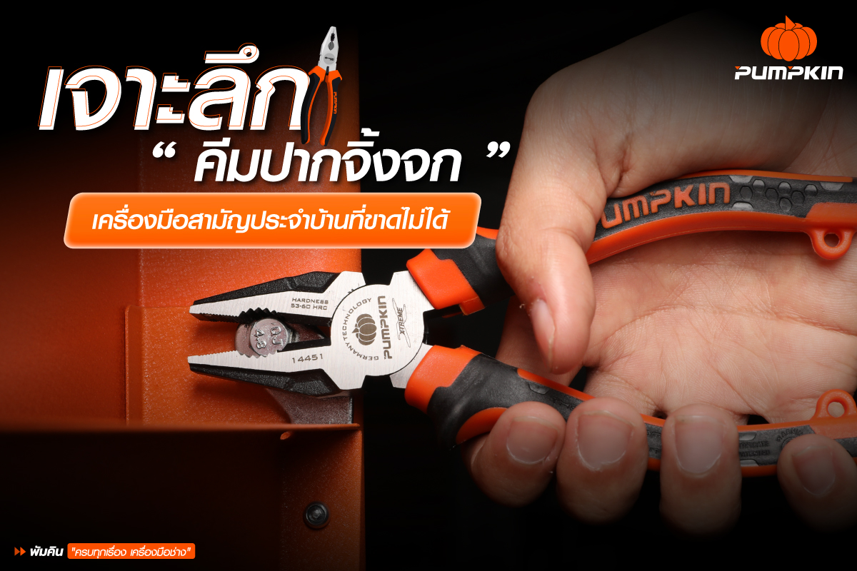 บทความ---เจาะลึก-คีมปากจิ้งจก-เครื่องมือสามัญประจำบ้านที่ขาดไม่ได้-1200x800px
