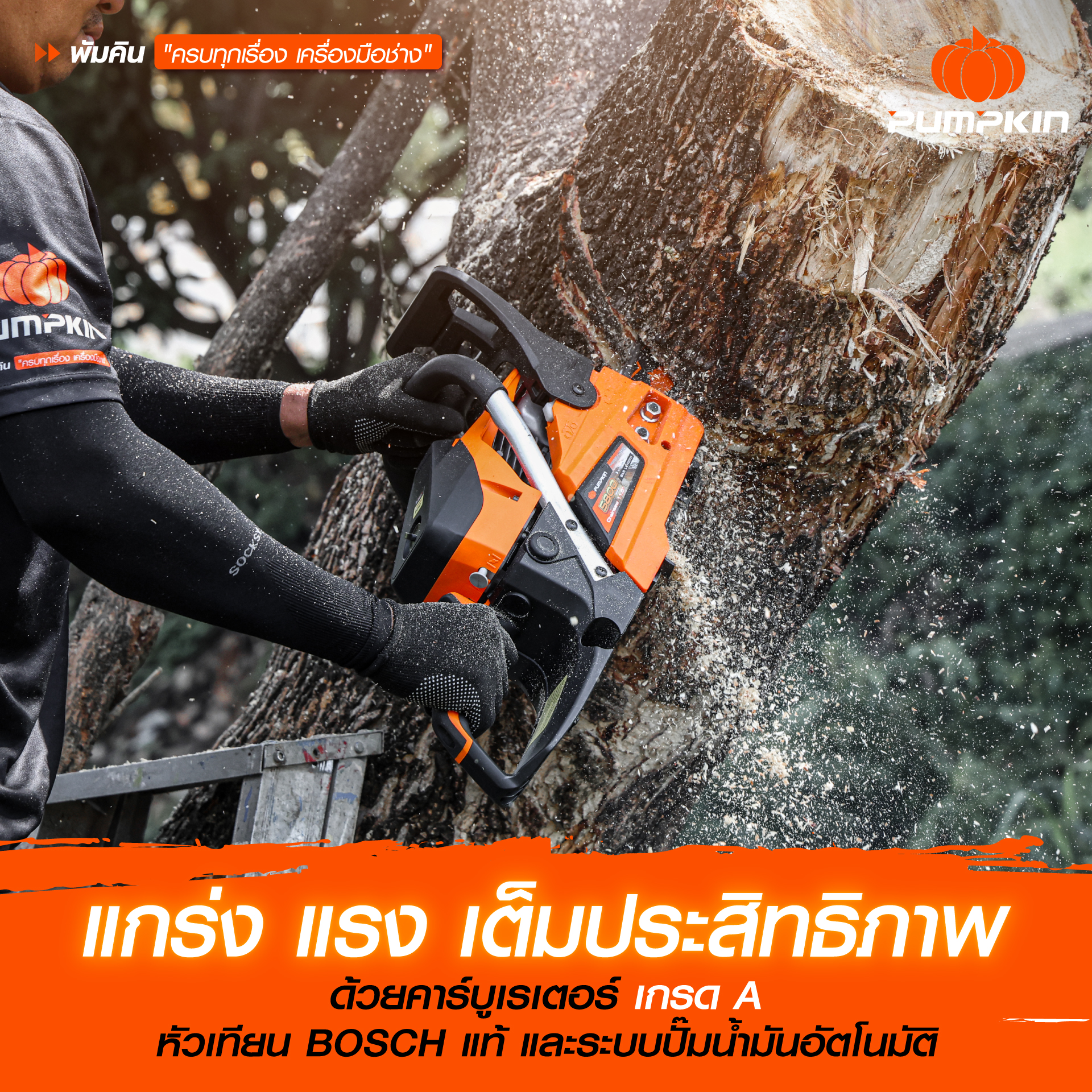 เลื่อยยนต์ PUMPKIN รุ่น P-S5800 ใช้คาร์บูเรเตอร์เกรดพรีเมียม